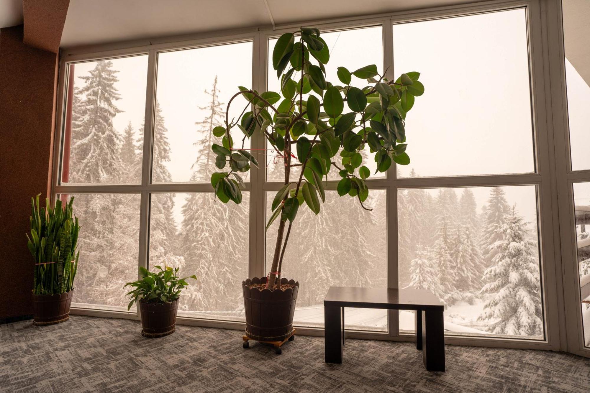 Villa Select Predeal Exteriör bild